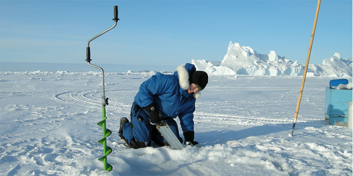 Fieldwork