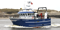 Havfisken
